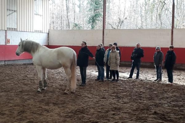Equicoaching seminar with France Protect