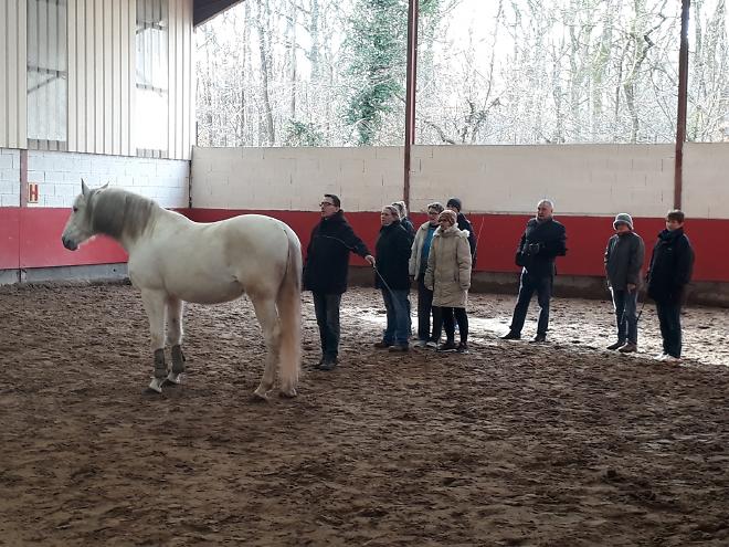Séminaire equicoaching avec france protect